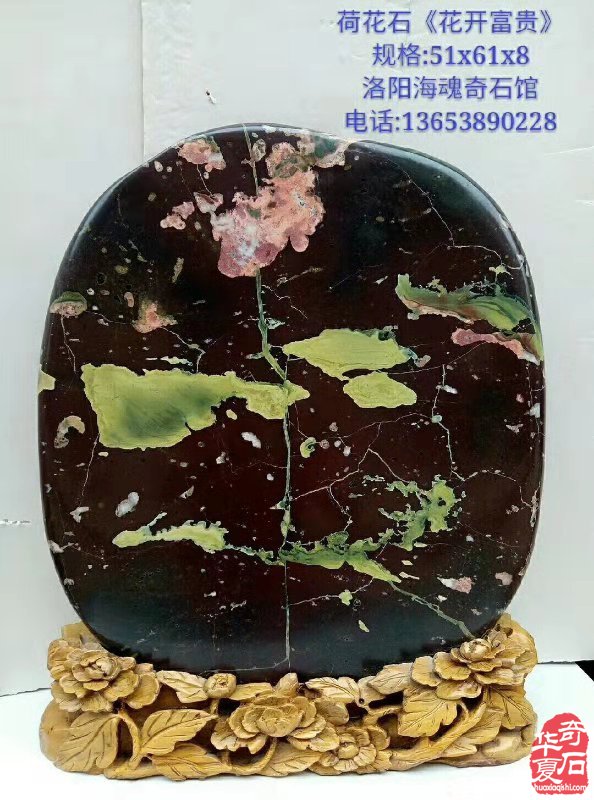 欣赏洛阳资深玩家胡志安收藏的河洛石 图