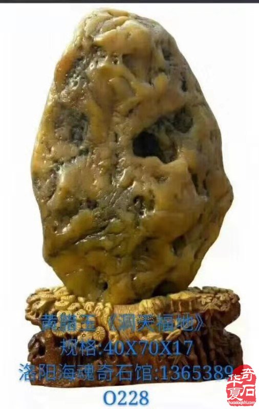 欣赏洛阳资深玩家胡志安收藏的河洛石 图