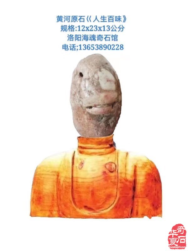 欣赏洛阳资深玩家胡志安收藏的河洛石 图