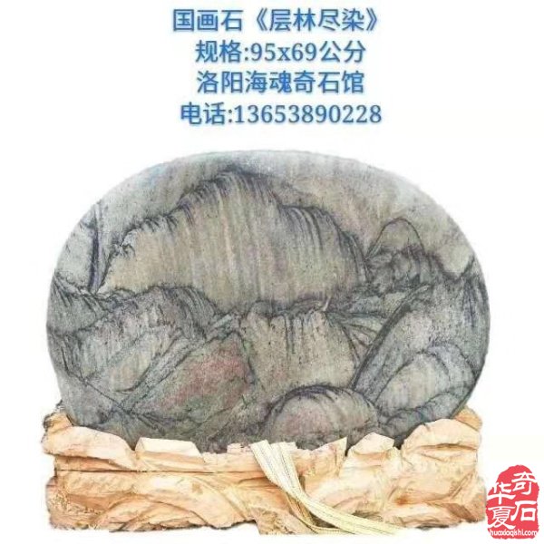 欣赏洛阳资深玩家胡志安收藏的河洛石 图