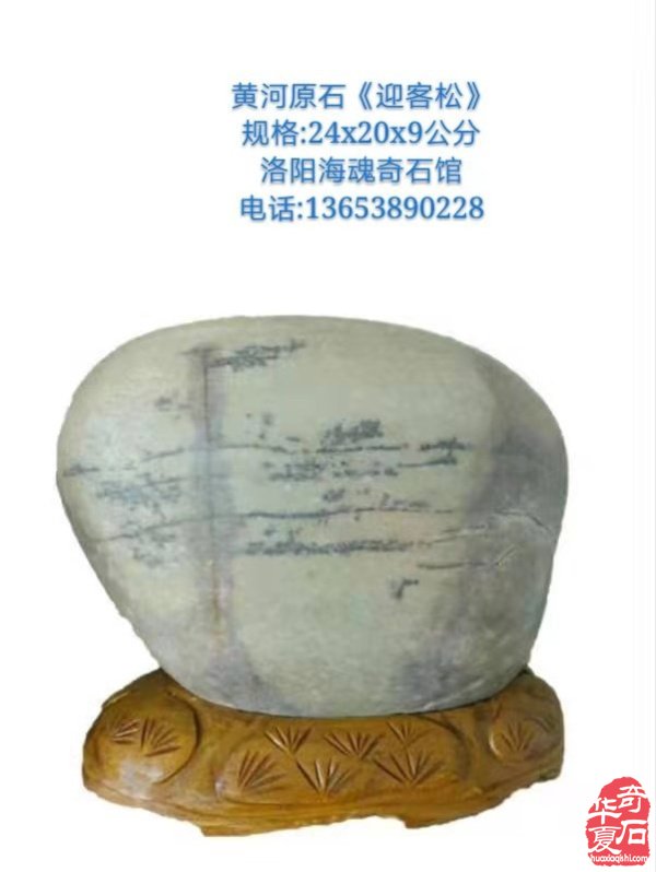 欣赏洛阳资深玩家胡志安收藏的河洛石 图