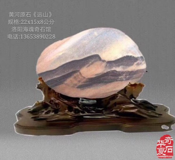 欣赏洛阳资深玩家胡志安收藏的河洛石 图