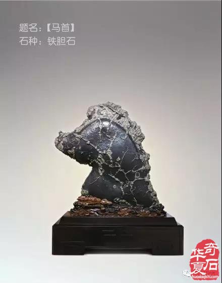 明年开春大展石家庄过往金奖作品回头看 图