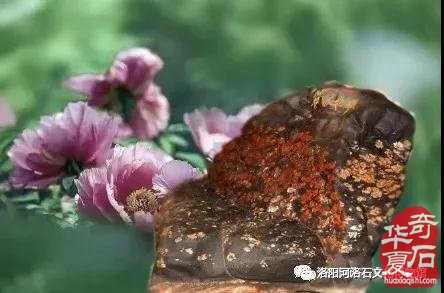 喜报|河洛石文化博物馆视频荣登中共中央宣传部“学习强国”学习平台！