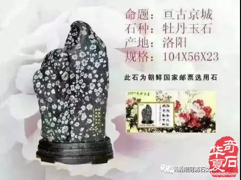 喜报|河洛石文化博物馆视频荣登中共中央宣传部“学习强国”学习平台！