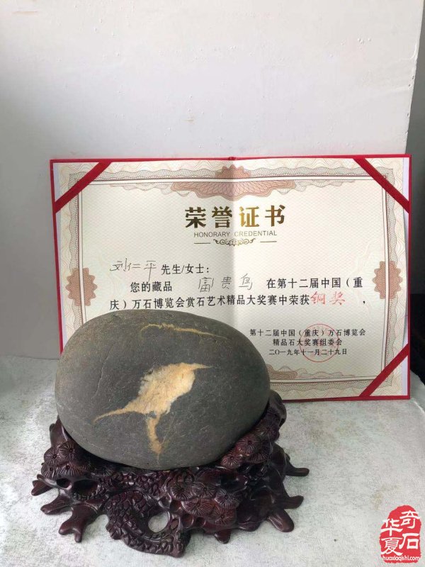 白河赏石人李加富情有独钟汉江石