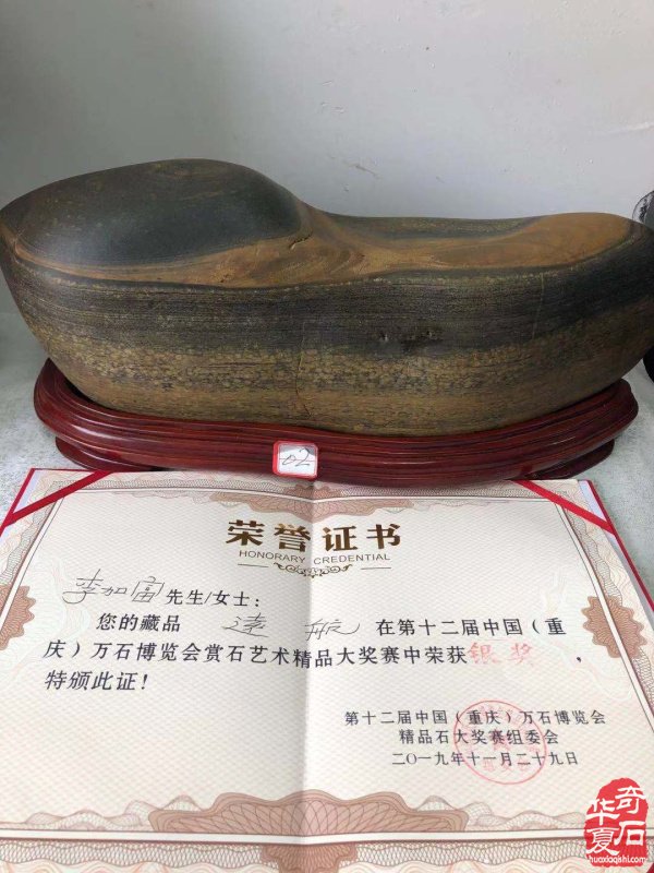 白河赏石人李加富情有独钟汉江石