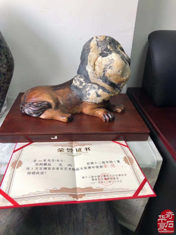 白河赏石人李加富情有独钟汉江石