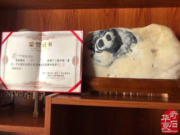 白河赏石人李加富情有独钟汉江石