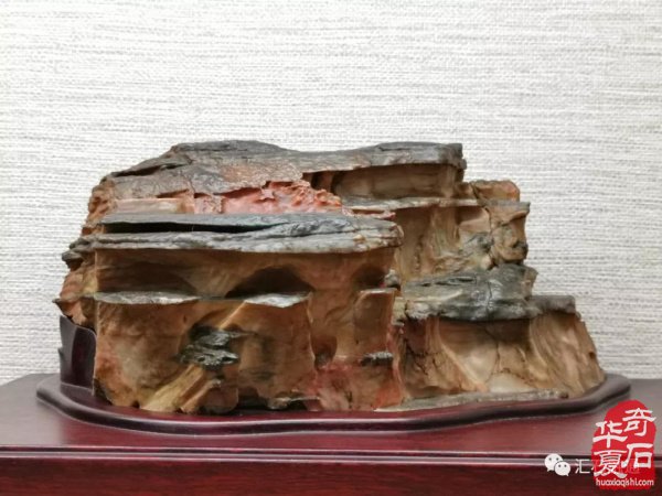汇聚石门｜石非石海选万里行·石家庄站