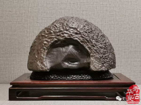 汇聚石门｜石非石海选万里行·石家庄站