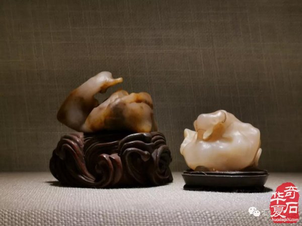 汇聚石门｜石非石海选万里行·石家庄站