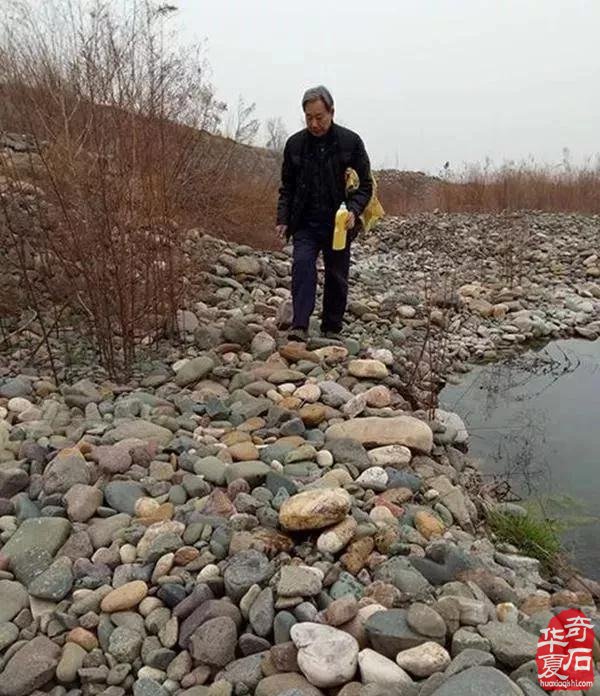 洛阳“石痴“70岁刘老汉捡石头19年