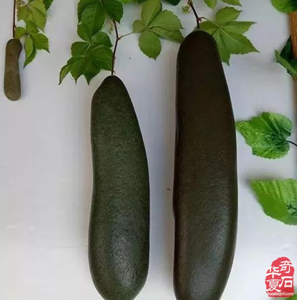 洛阳“石痴“70岁刘老汉捡石头19年