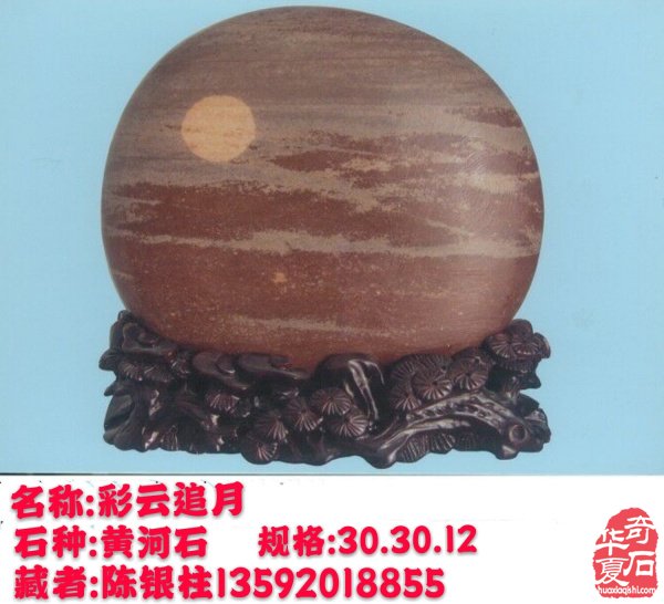洛阳市赏石协会给全国的石友们拜年啦！