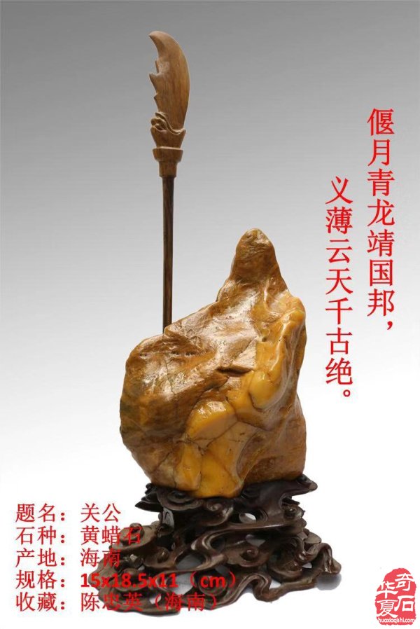 分享海南省赏石文化协会会长陈忠英的藏品 图