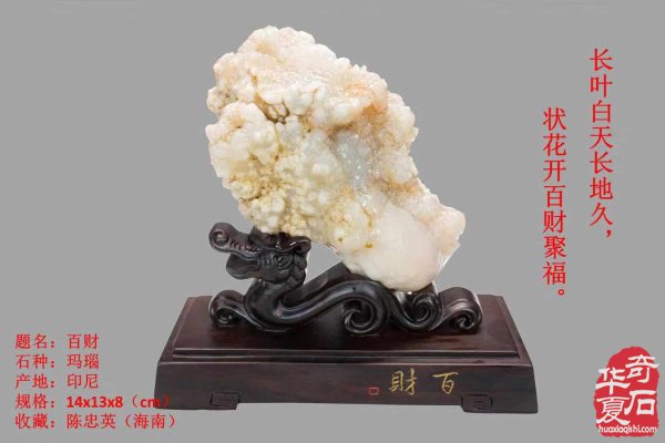 分享海南省赏石文化协会会长陈忠英的藏品 图