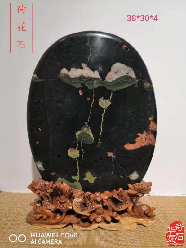 欣赏洛阳《玩石阁》收藏的奇石作品 图
