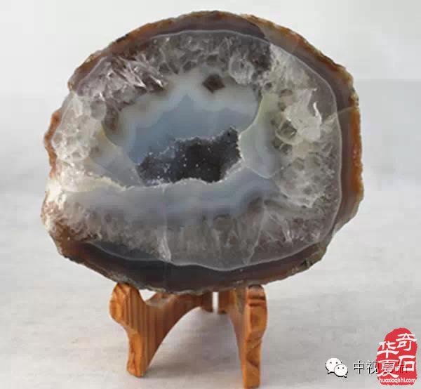 欣赏中原美石藏家韩树民的十二生肖珍品 图