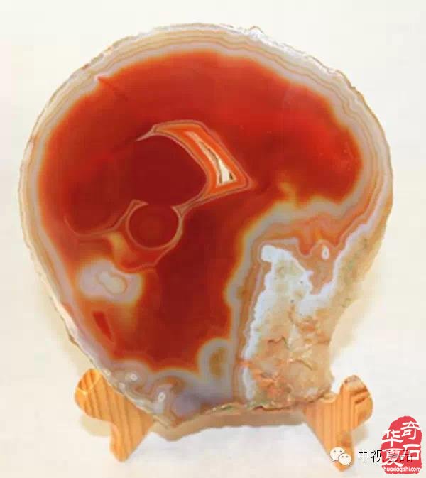 欣赏中原美石藏家韩树民的十二生肖珍品 图