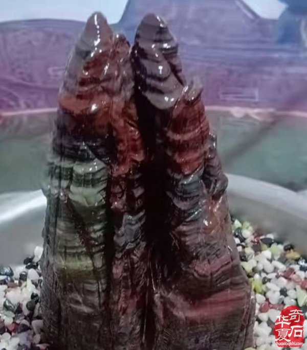 龙兴之地——抚顺新宾的龙血松花石 图