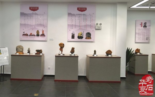 喜讯：宜春奇石展览馆开馆啦 图