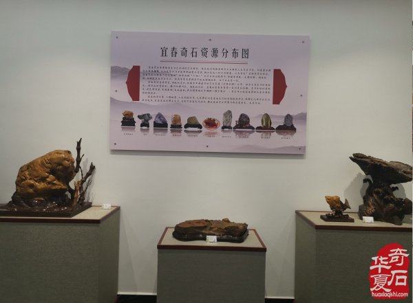 喜讯：宜春奇石展览馆开馆啦 图