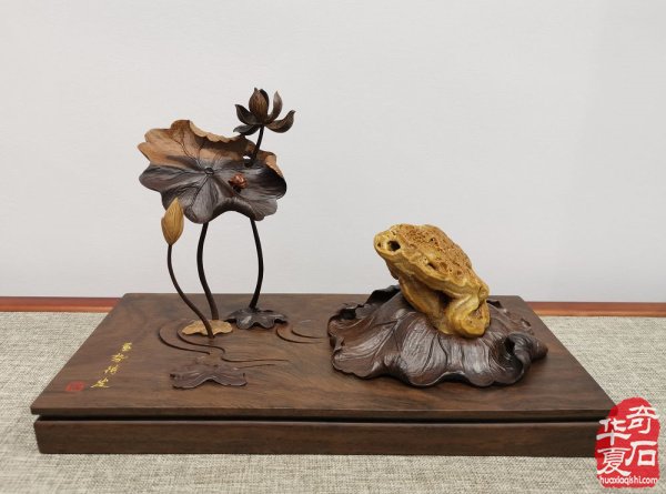 喜讯：宜春奇石展览馆开馆啦 图
