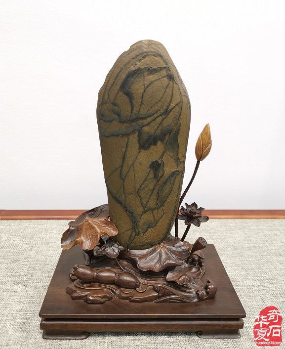 喜讯：宜春奇石展览馆开馆啦 图