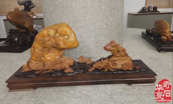 喜讯：宜春奇石展览馆开馆啦 图