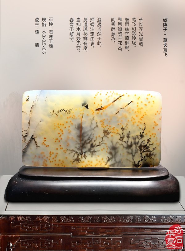 石有约 花为媒 《于公赏石》沐春风