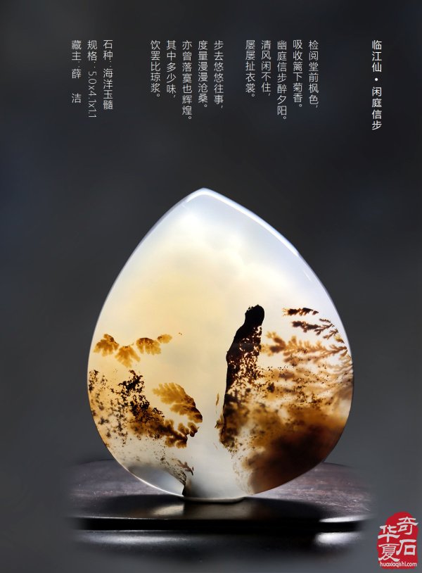 石有约 花为媒 《于公赏石》沐春风