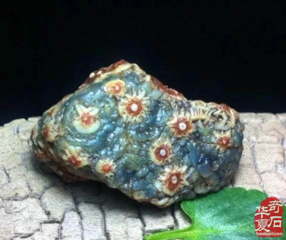 戈壁遗珍一一筋脉石 （组图）