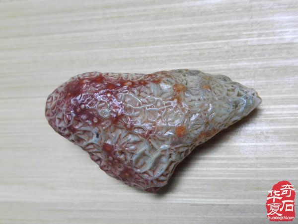 戈壁遗珍一一筋脉石 （组图）