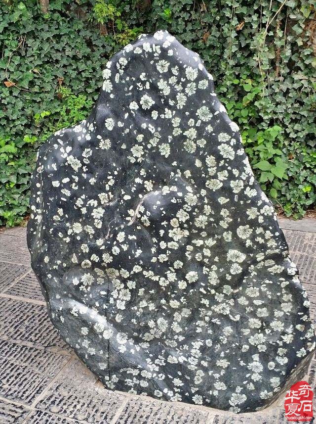 对抗击疫情斗争牺牲烈士和逝世同胞深切哀悼