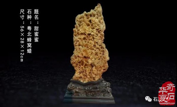 【石友大讲堂】李观云：玩石头，聊旅游，谈人生