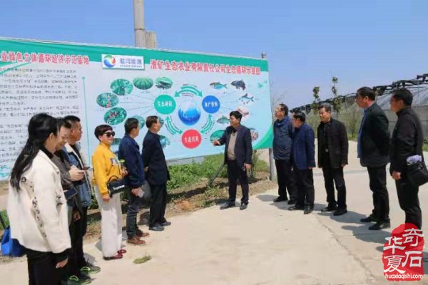 淮南市观赏石协会召开第三届换届筹备会议 图