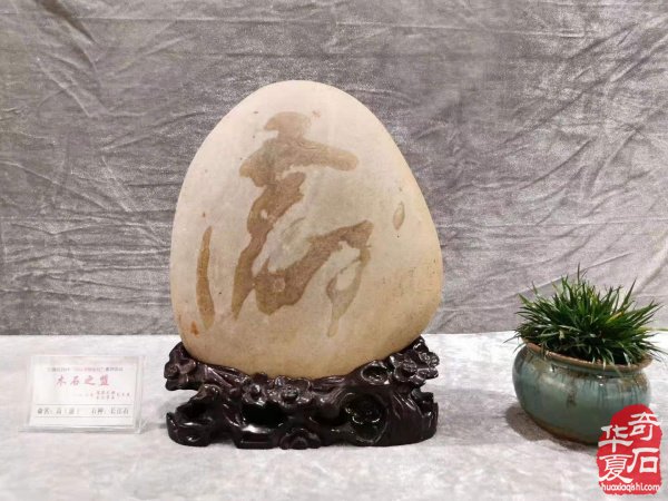 跟着石界才女领略长江美石的风采 图