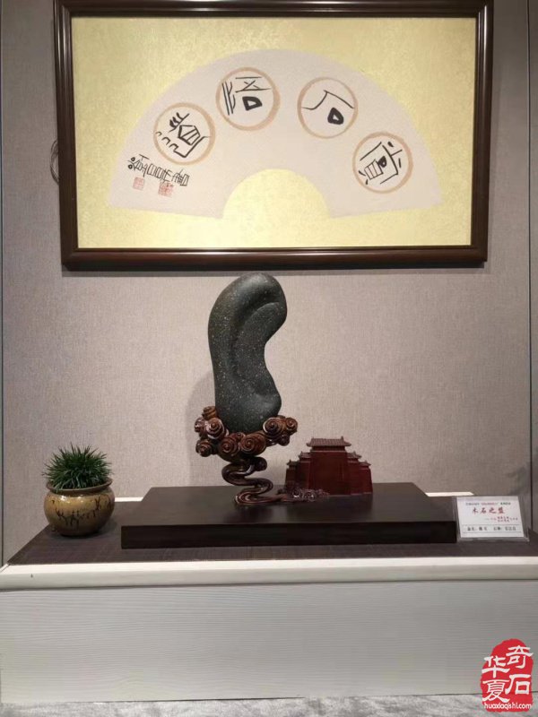 跟着石界才女领略长江美石的风采 图