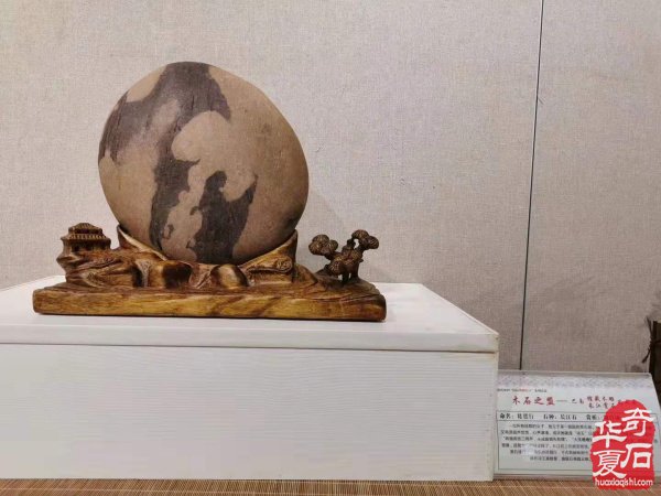 跟着石界才女领略长江美石的风采 图
