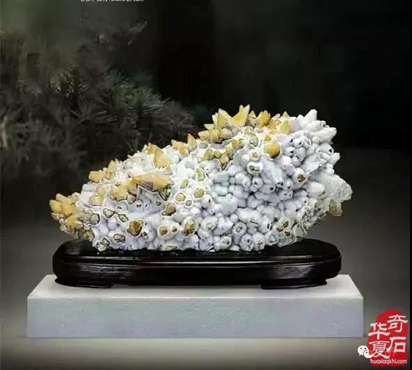 品德、修养和智慧为美石注入生命魂魄