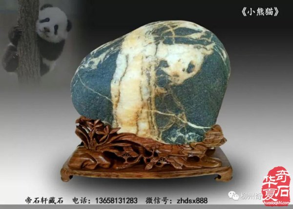 中国观赏石经典画面石欣赏 图
