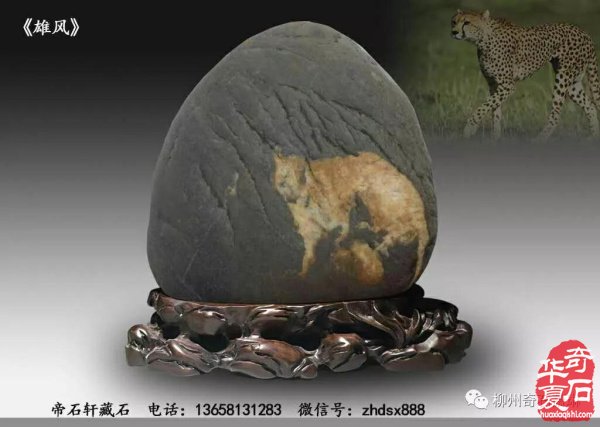 中国观赏石经典画面石欣赏 图