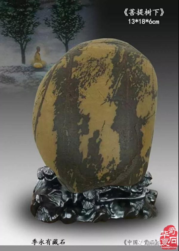 中国观赏石经典画面石欣赏 图