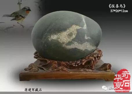 中国观赏石经典画面石欣赏 图