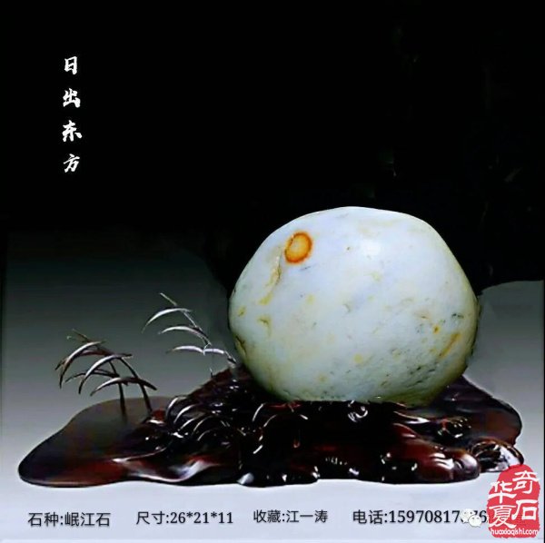 全国奇石免费展示（第75期） 组图