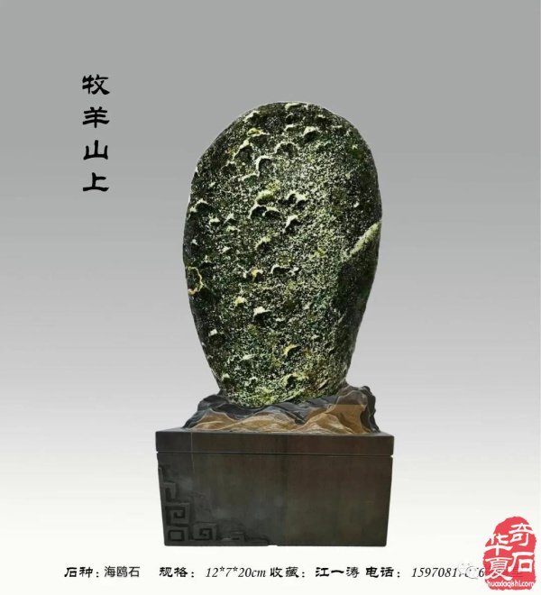 全国奇石免费展示（第75期） 组图