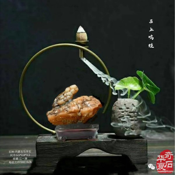 全国奇石免费展示（第75期） 组图