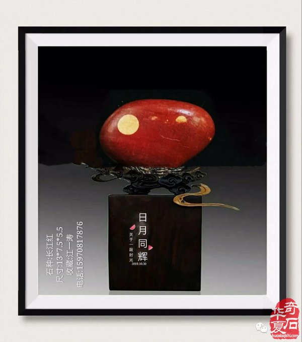全国奇石免费展示（第75期） 组图