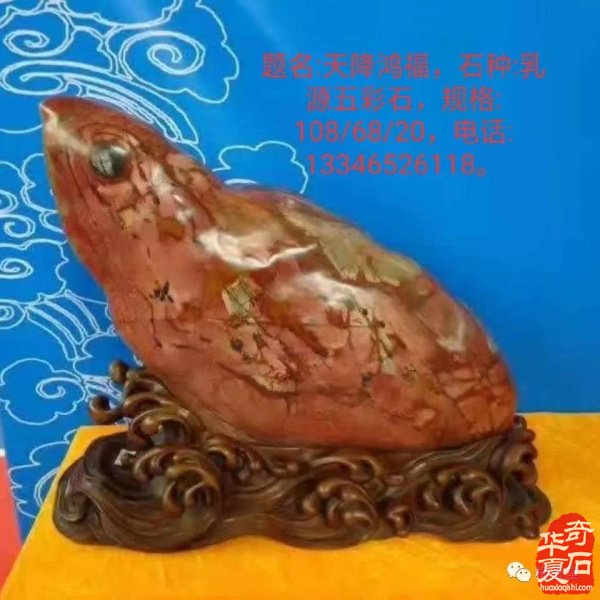 全国奇石免费展示（第75期） 组图